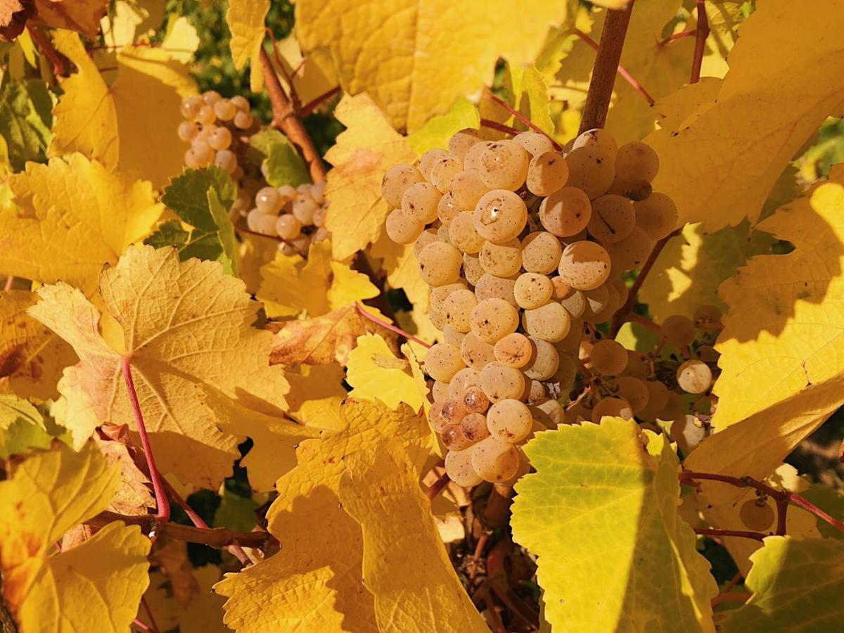 Weingut-Aparthotel Olinger Мерінґ Екстер'єр фото